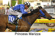 Princess Marizza (18294 bytes)