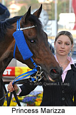 Princess Marizza (18294 bytes)