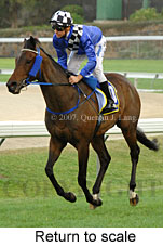 return to scale (18294 bytes)