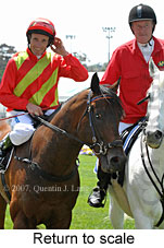 return to scale (18294 bytes)