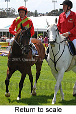 return to scale (18294 bytes)