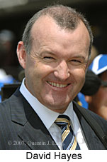 David Hayes (18294 bytes)