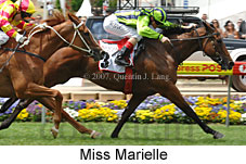 Miss Marielle (18294 bytes)