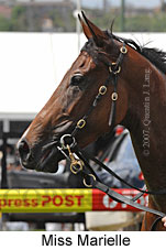 Miss Marielle (18294 bytes)