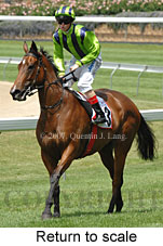 return to scale (18294 bytes)