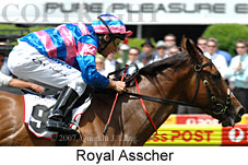 Royal Asscher (18294 bytes)