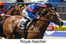 Royal Asscher (18294 bytes)