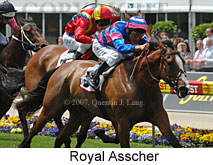 Royal Asscher (18294 bytes)