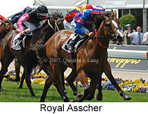 Royal Asscher (18294 bytes)