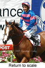 return to scale (18294 bytes)