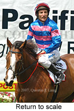 return to scale (18294 bytes)