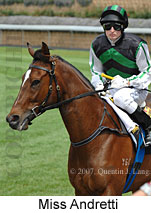 Miss Andretti (18294 bytes)