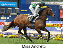 Miss Andretti (18294 bytes)