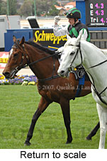 return to scale (18294 bytes)