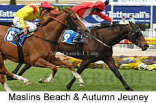 Dead-heat Maslins Beach & Autumn Jeuney (18294 bytes)