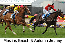 Dead-heat Maslins Beach & Autumn Jeuney (18294 bytes)