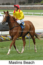 Maslins Beach return to scale (18294 bytes)