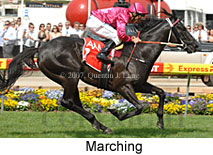 Marching (18294 bytes)