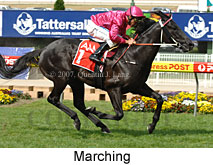 Marching (18294 bytes)