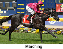 Marching (18294 bytes)