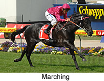 Marching (18294 bytes)