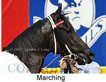 Marching (18294 bytes)