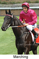 Marching (18294 bytes)