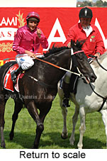 return to scale (18294 bytes)