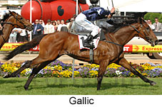 Gallic (18294 bytes)