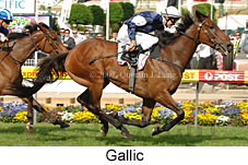 Gallic (18294 bytes)