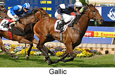 Gallic (18294 bytes)