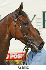 Gallic (18294 bytes)