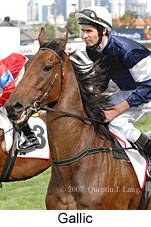 Gallic (18294 bytes)