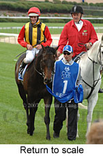 return to scale (18294 bytes)