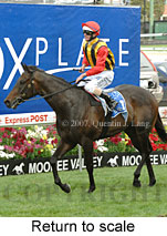 return to scale (18294 bytes)