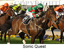 Sonic Quest (18294 bytes)