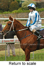 Return to scale (15472 bytes)