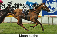 Moonloushe (16727 bytes)