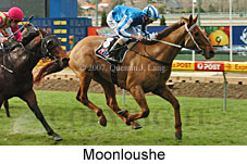 Moonloushe (16727 bytes)