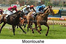 Moonloushe (16727 bytes)