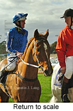 Return to scale (15472 bytes)