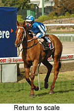 Return to scale (15472 bytes)