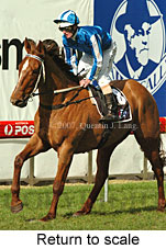 Return to scale (15472 bytes)