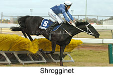 Shrogginet (16727 bytes)