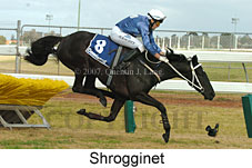 Shrogginet (16727 bytes)