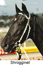 Shrogginet (16727 bytes)