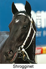 Shrogginet (16727 bytes)