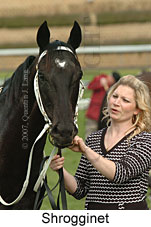 Shrogginet (16727 bytes)