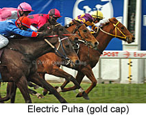 Electric Puha (16727 bytes)