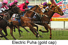 Electric Puha (16727 bytes)